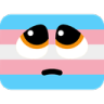 pleading_trans